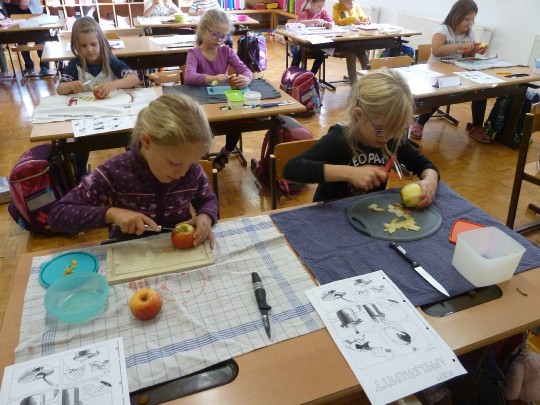 P1130036