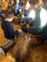 IMG_2984