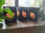 IMG_20191122_115347