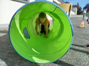 IMG-20210511-WA0008
