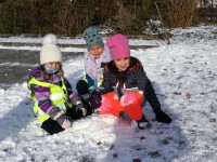 IMG_20201204_101611
