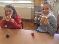 IMG-20210326-WA0007