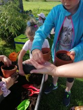 IMG-20210518-WA0003