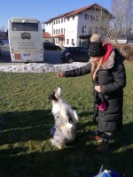 IMG_20211221_114155