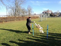 IMG_20211221_114435