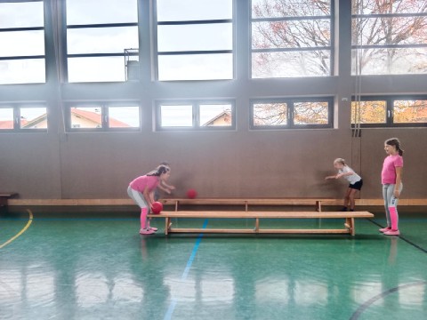 IMG-20231113-WA0010