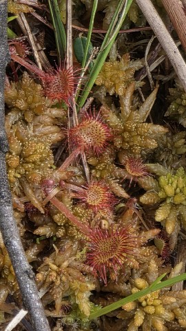 IMG-20260610-WA0025