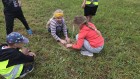 IMG-20260610-WA0017
