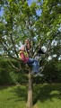 IMG-20260519-WA0029