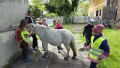 IMG-20260519-WA0032